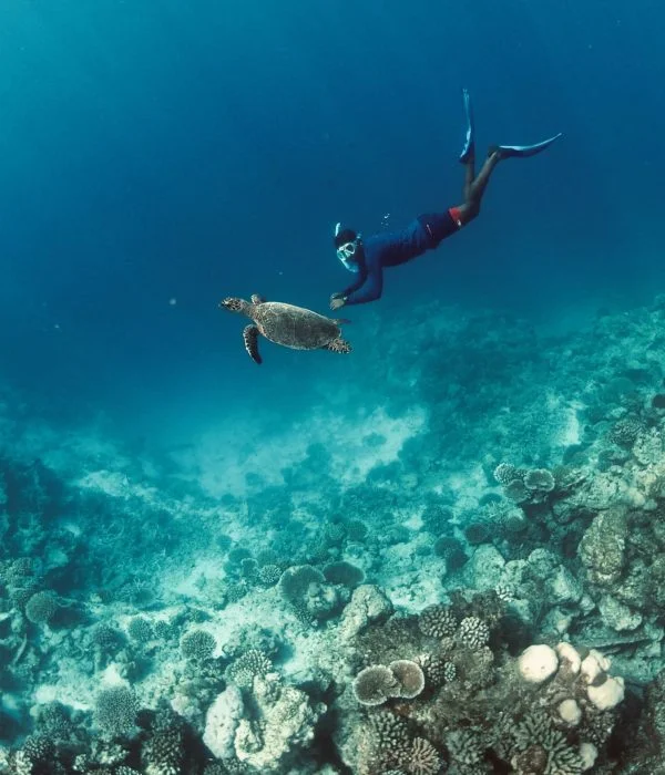 Surfing & Diving holiday package in the Maldives