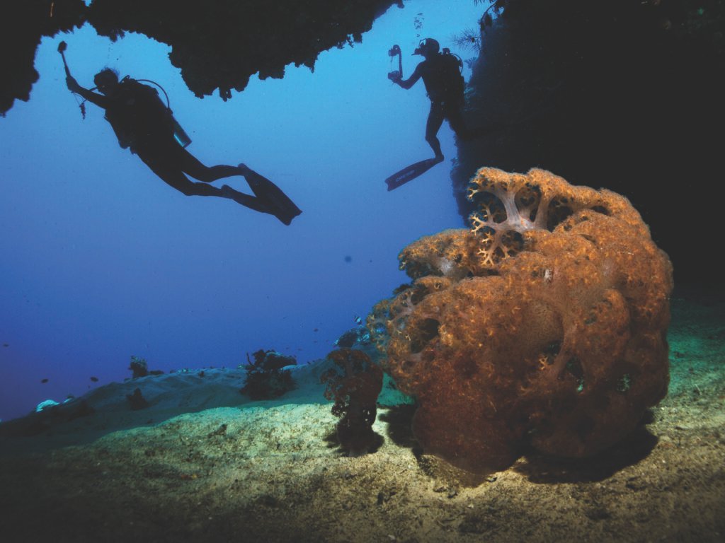 OBLU SELECT at SANGELI – HOUSE REEF 14