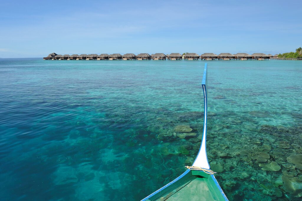 Ayada-Maldives-coral-reef-5