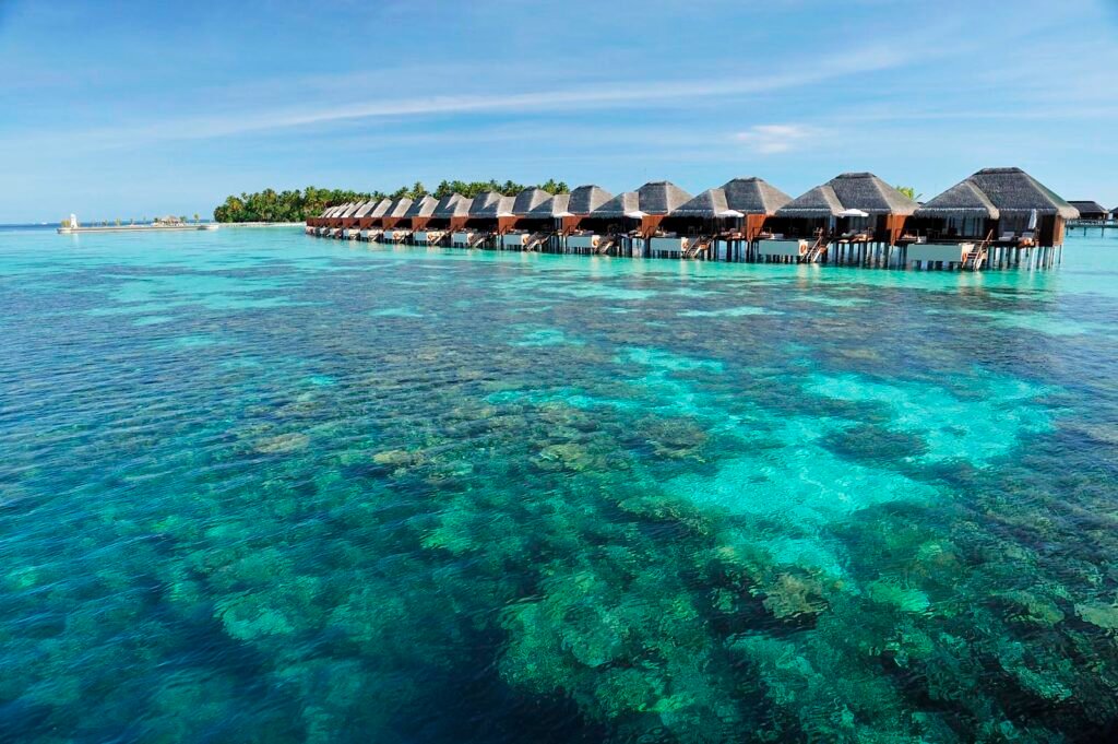 Ayada-Maldives-coral-reef-6-1