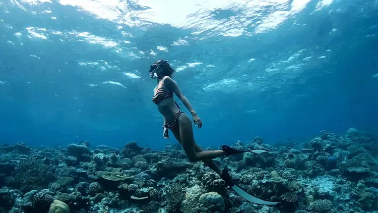 Snorkeling