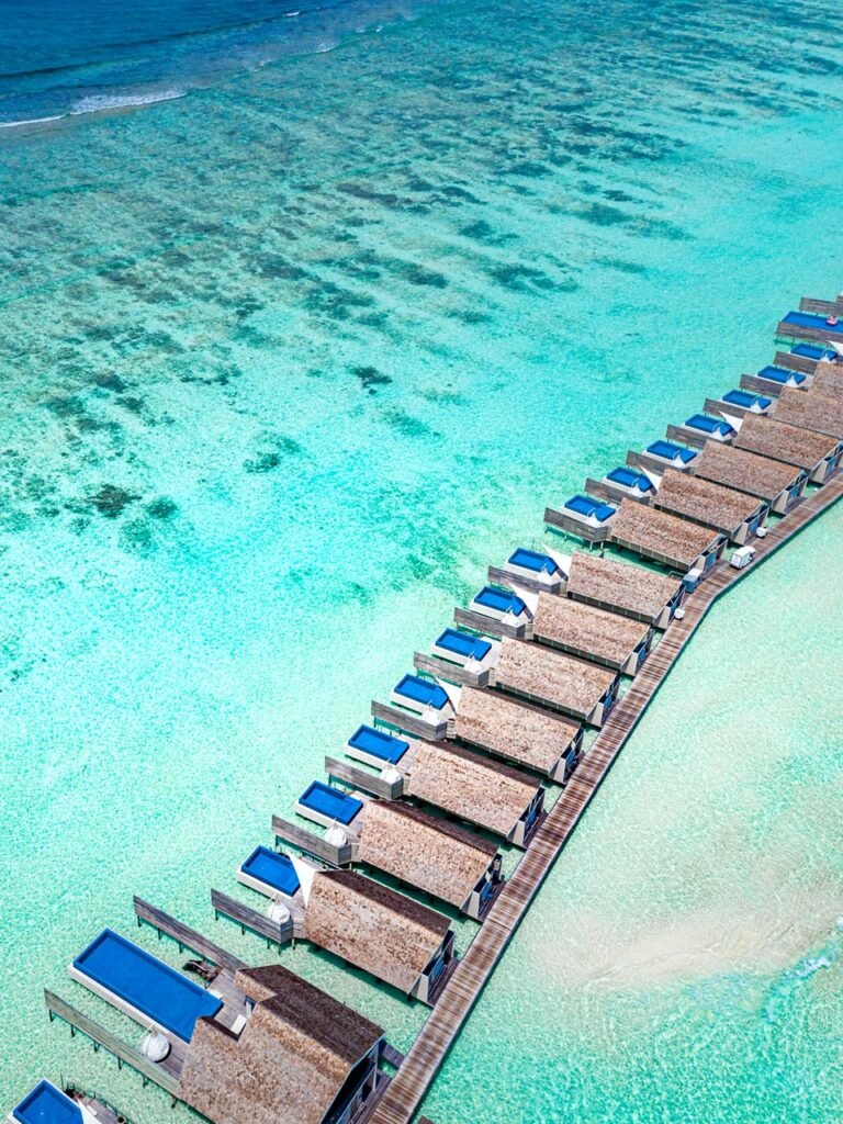 lsaa_aerial_8