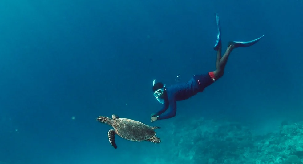 Diving
