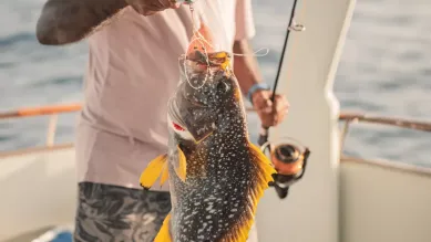 Sunset Fishing
