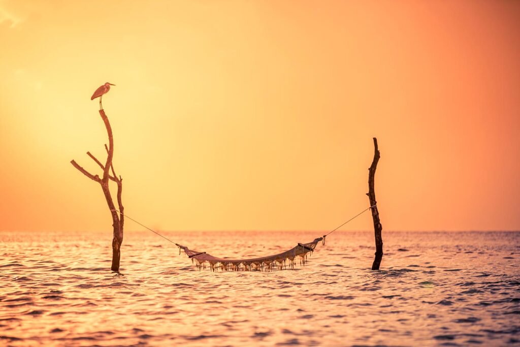 General-Sun-Siyam-Vilu-Reef-11